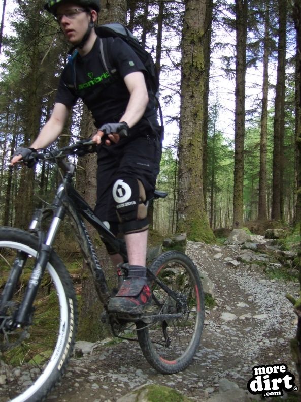 Dragons Back Trail - Coed-y-Brenin