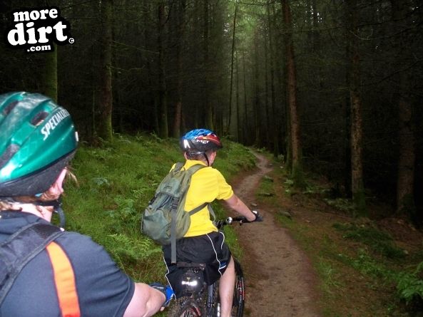 The Wall Trail - Afan Forest