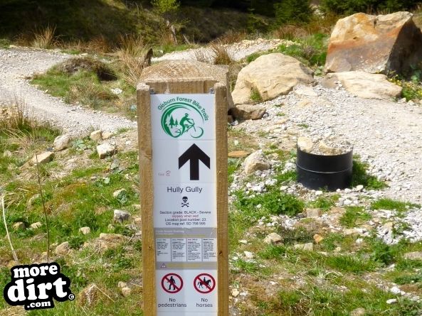 Gisburn Forest Mountain Bike Trails