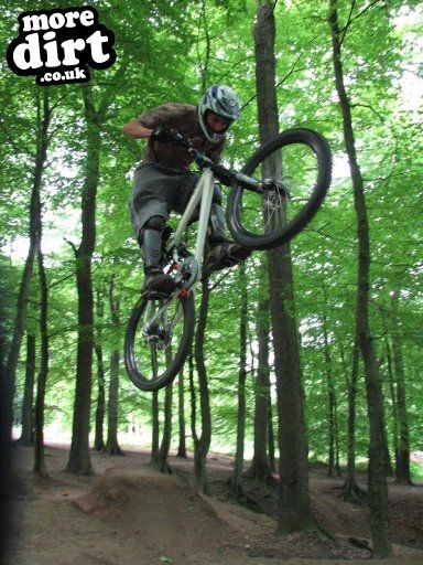 Downhill Trails - Forest of Dean