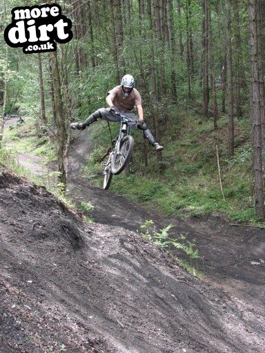 Downhill Trails - Forest of Dean