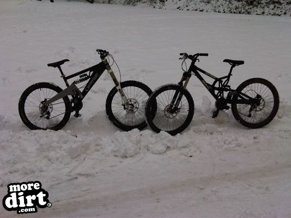 Triscombe Mountain Bike Trails