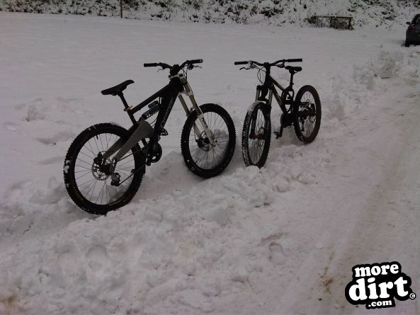 Triscombe Mountain Bike Trails