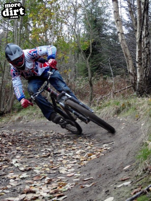 Silton Forest Downhill Track