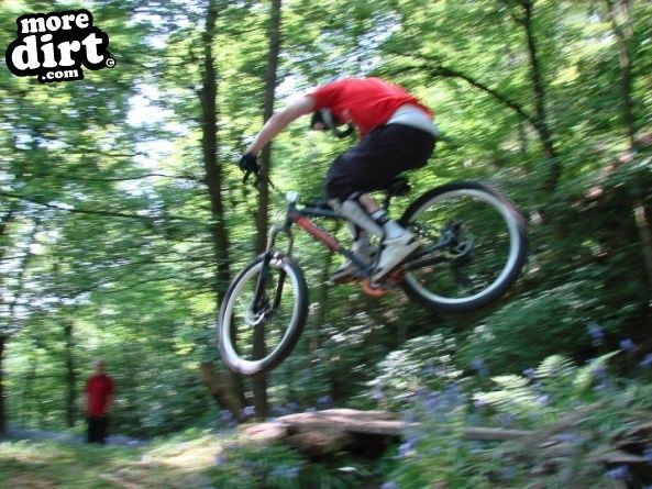 Elland Park Wood Trails