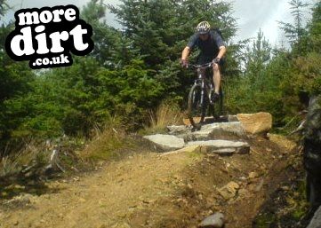 Deadwater Trail - Kielder Forest