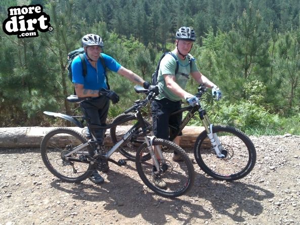 Monkey Trail - Cannock Chase