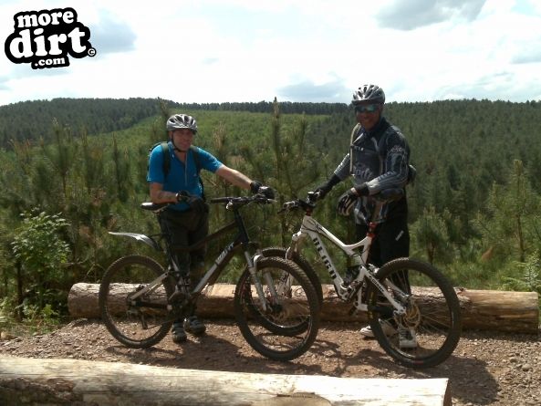 Monkey Trail - Cannock Chase