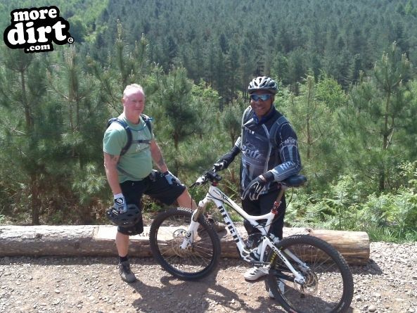 Monkey Trail - Cannock Chase