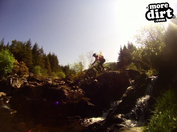 Black Craigs Trail - Kirroughtree