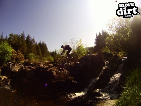 Black Craigs Trail - Kirroughtree
