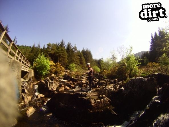 Black Craigs Trail - Kirroughtree