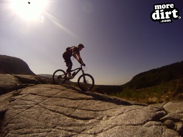 Black Craigs Trail - Kirroughtree