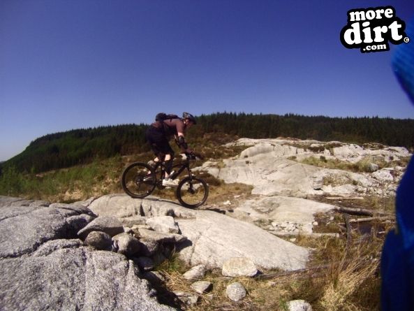 Black Craigs Trail - Kirroughtree