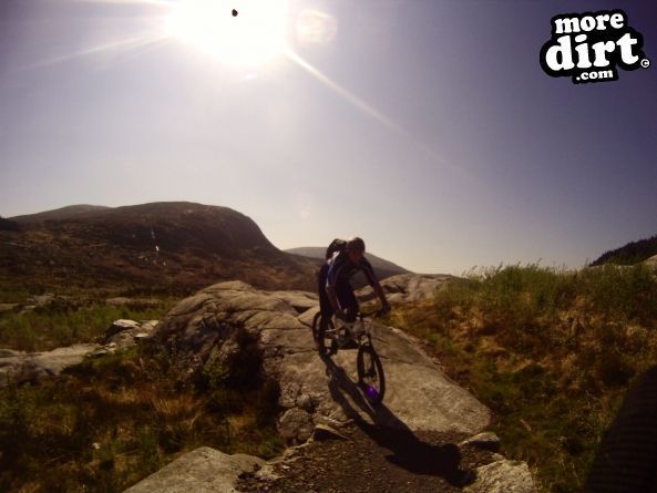 Black Craigs Trail - Kirroughtree