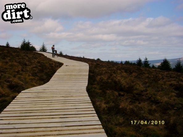 Lonesome Pine Trail - Kielder Forest