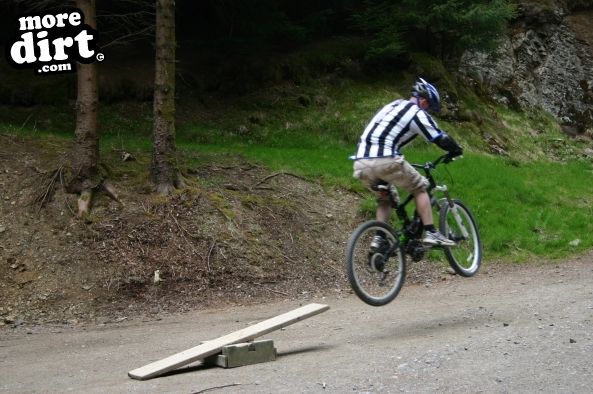 Altura Trail - Whinlatter Forest
