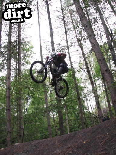 Downhill Trails - Forest of Dean