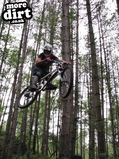 Downhill Trails - Forest of Dean