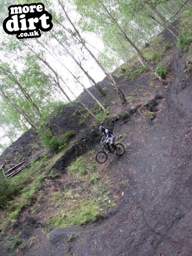 Downhill Trails - Forest of Dean