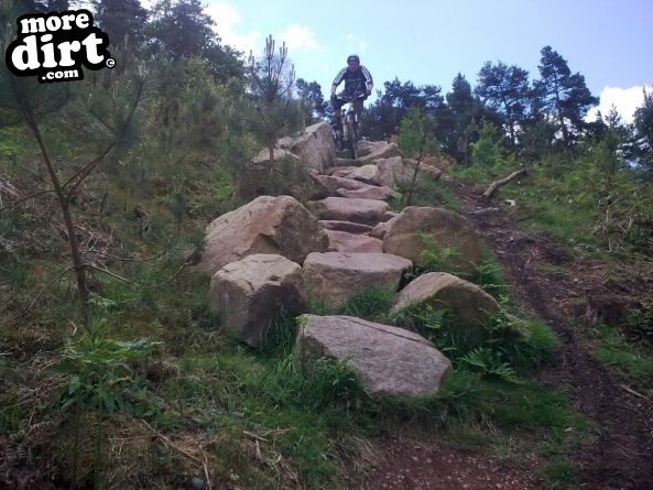 Tip toeing through the rock garden