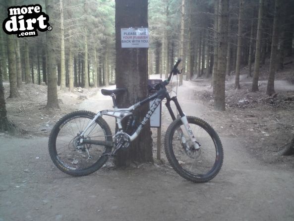 Skills Area - Coed Llandegla Forest