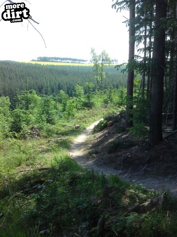 Dalby Forest Red Trail