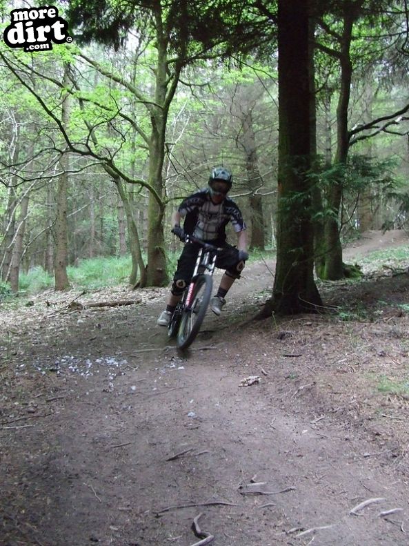 Ribbesford Bike Park