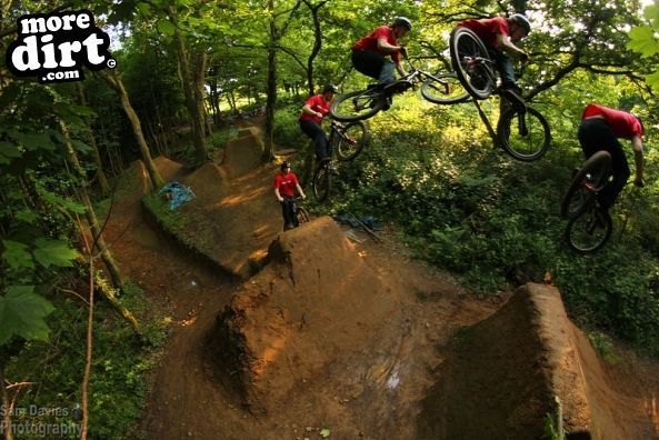 Moo Dirt Jumps