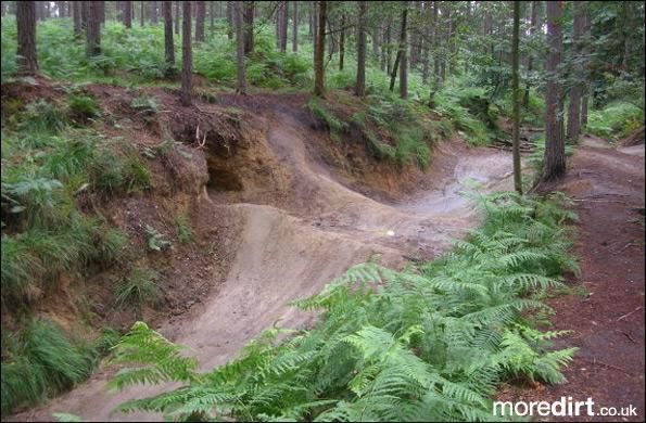 Swinley Forest Mountain Bike Centre