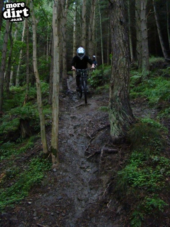 Innerleithen Mountain Bike Trails