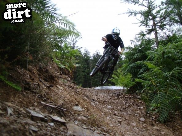 Innerleithen Mountain Bike Trails