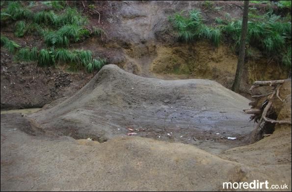 Swinley Forest Mountain Bike Centre