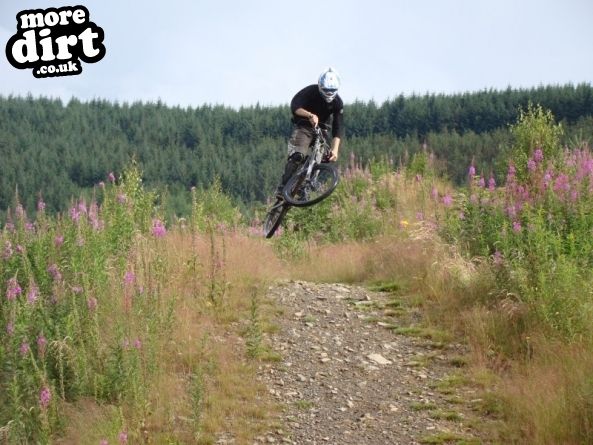Innerleithen Mountain Bike Trails