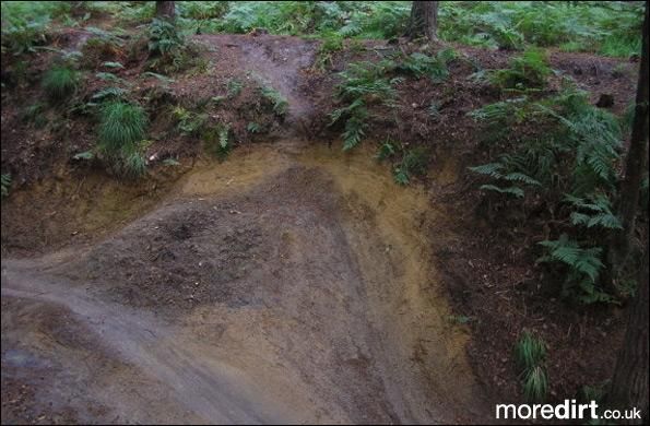 Swinley Forest Mountain Bike Centre