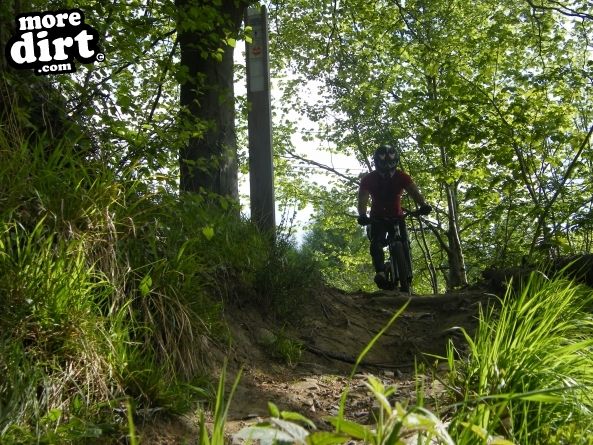 Powerline Trail - Chopwell