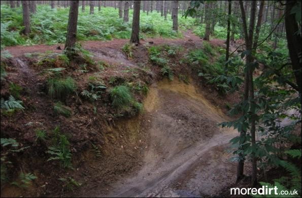 Swinley Forest Mountain Bike Centre
