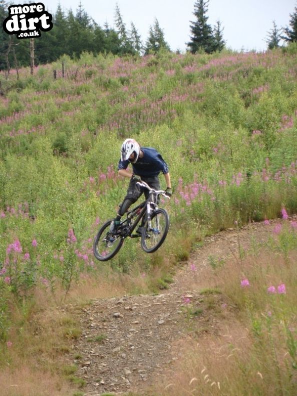 Innerleithen Mountain Bike Trails