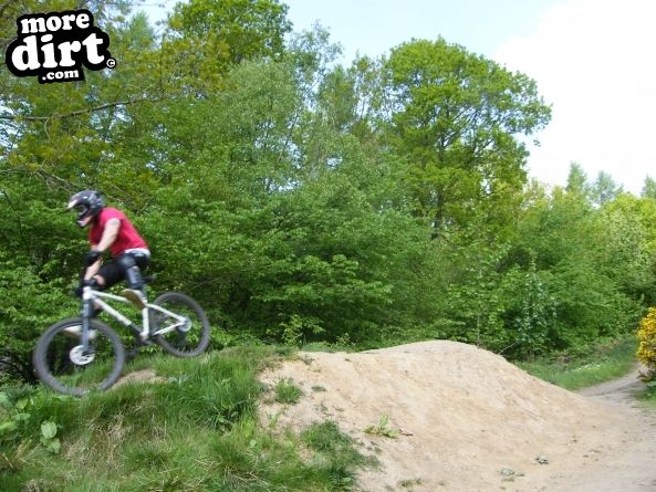 Powerline Trail - Chopwell