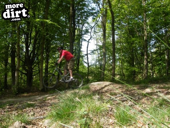 Powerline Trail - Chopwell
