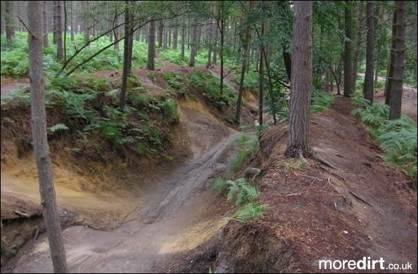 Swinley Forest Mountain Bike Centre