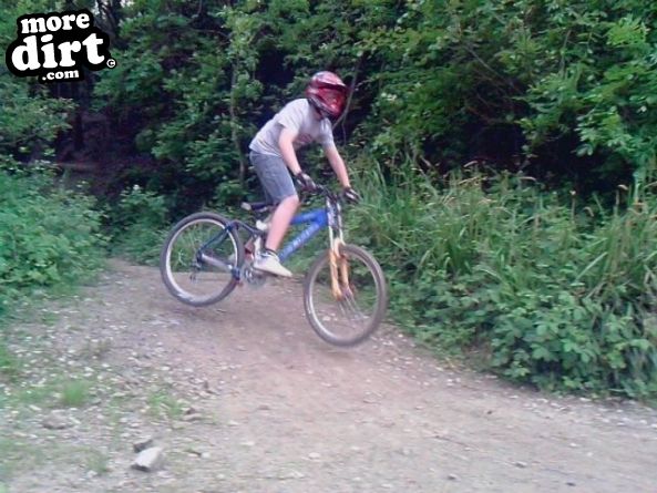 Rheola Downhill Mountain Bike Trail