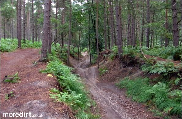 Swinley Forest Mountain Bike Centre