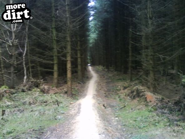 Dalby Forest Red Trail