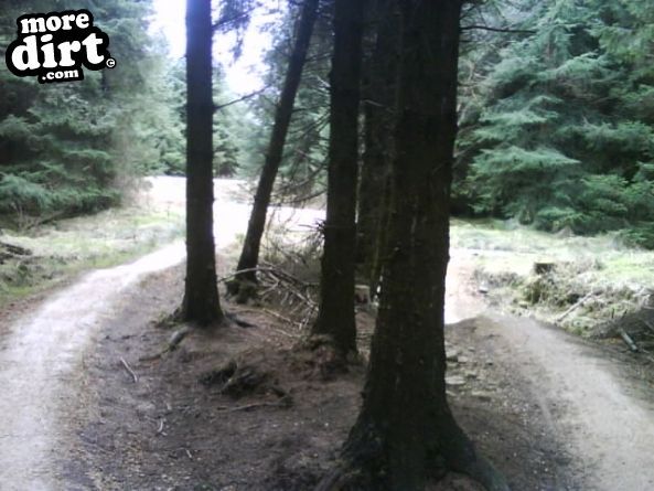 Dalby Forest Red Trail