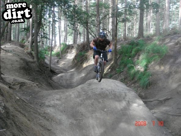 Swinley Forest Mountain Bike Centre