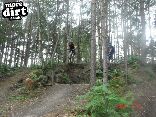 Swinley Forest Mountain Bike Centre