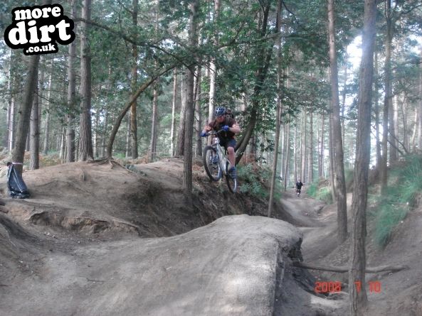 Swinley Forest Mountain Bike Centre