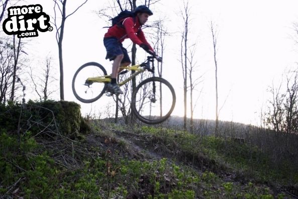 Queen Elizabeth Country Park Mountain Bike Trails