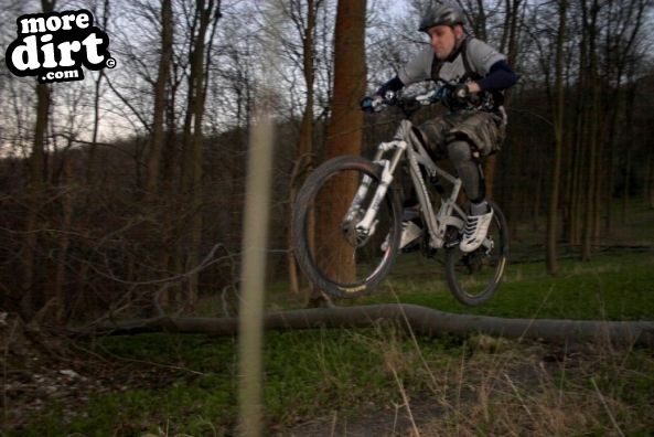 Queen Elizabeth Country Park Mountain Bike Trails